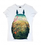  Totoro