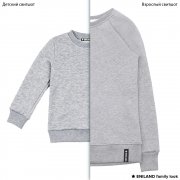 Серые парные толстовки family look